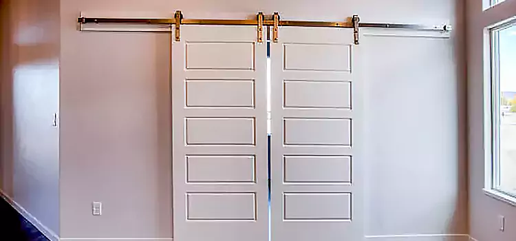 Glass Barn Door with Installation Hardware Kit Clarksburg